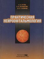 Книга Сигрианского Константина Игоревича
