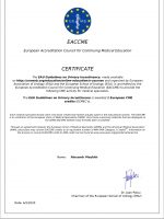 Сертификат Майхир Александра Евгеньевича